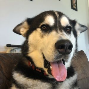 Meet your Posher, Alanna